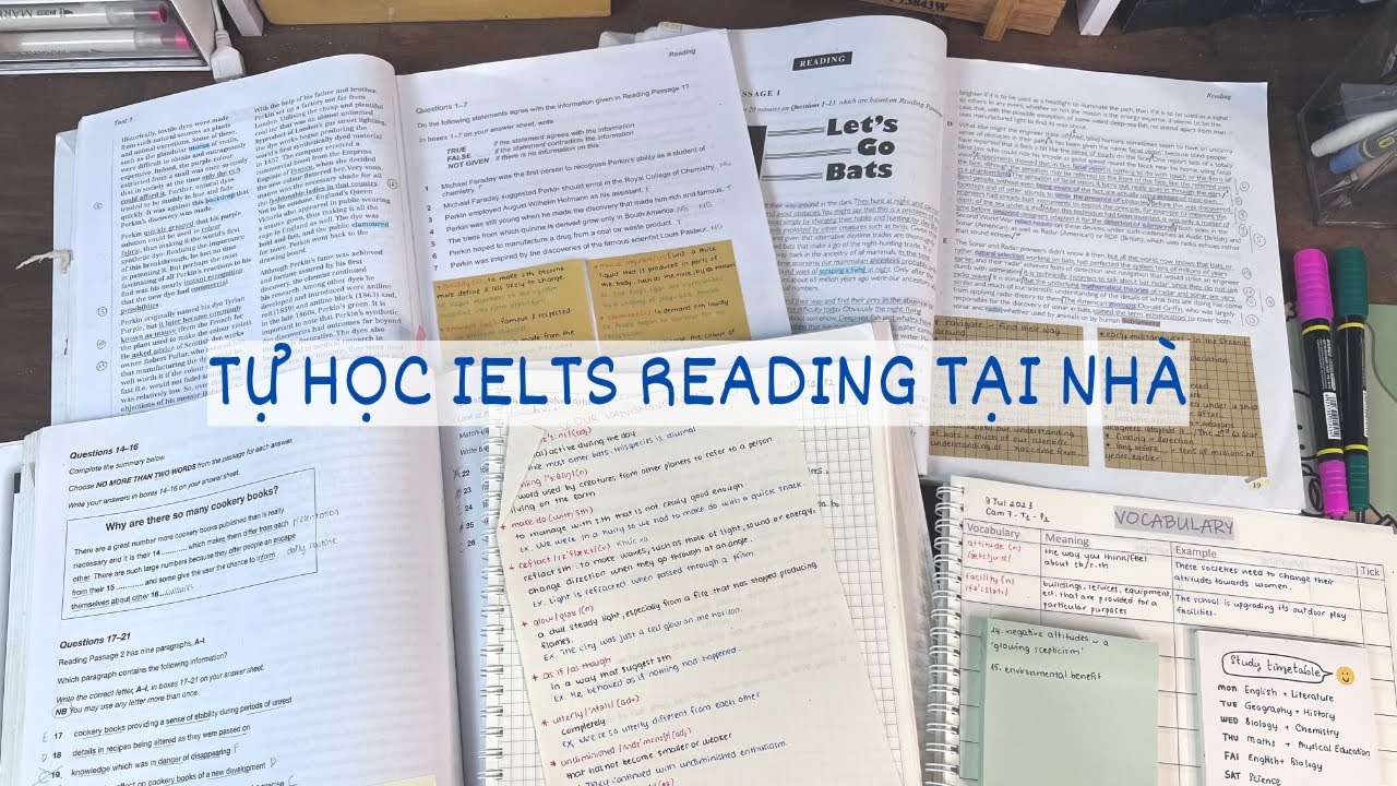 Cách tự học IELTS Reading hiệu quả tại nhà | Sai lầm, tài liệu, cách học