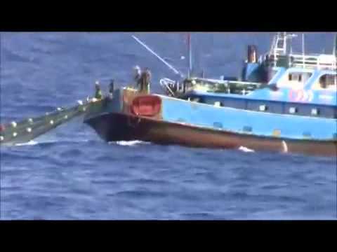 The Scandal Video Of The Incident Of Senkaku Islands3 With A Simple Transcript