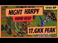 Night Harpy - Rapid respawn - 17.6kk raw peak | 1700 Paladin Tibia Gameplay