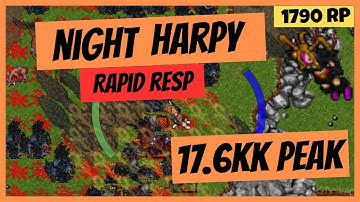 Night Harpy - Rapid respawn - 17.6kk raw peak | 1700 Paladin Tibia Gameplay
