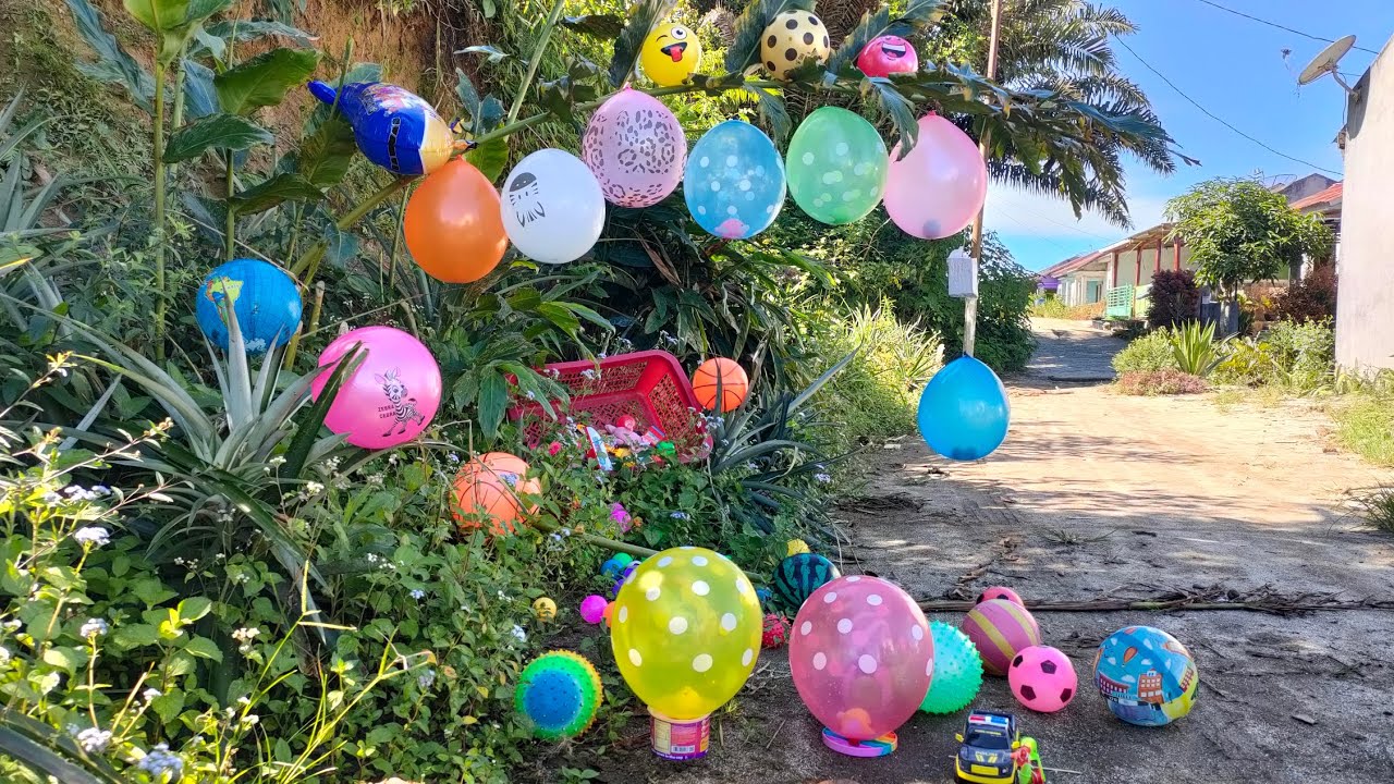 Wow!! Menemukan Balon Berhadiah Kejutan & Bola Karakter di Samping Rumah Meletuskan Balon Berhadiah