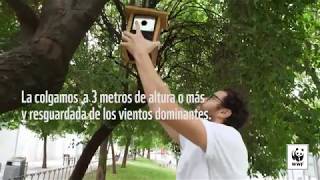 Aprende a construir cajas nido con WWF y Marca