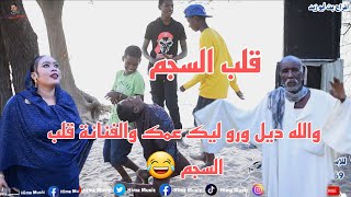 قلب السجم 🔥 || أفراح بت أبو زبد || أب شيبة || أغاني سودانية 2023