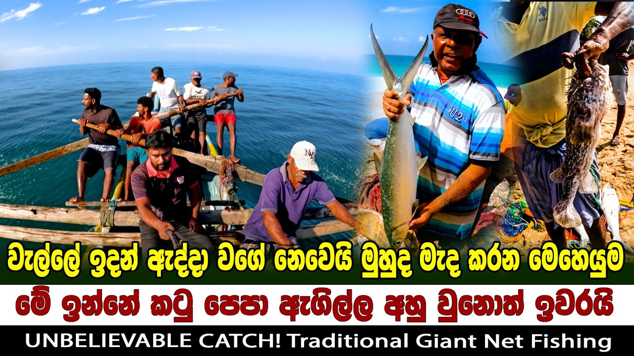 වැල්ලේ ඉදන් ඇද්දා වගේ නෙවෙයි මූද මැද සෙල්ලම් 🐠🐡  | UNBELIEVABLE CATCH! Traditional Giant Net Fishing