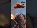 Winter Bushcraft Barbecue 🔥