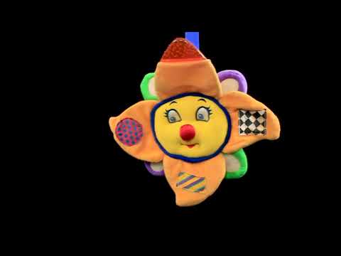 Sensual Sunshine Leak:  A Visual Symphony