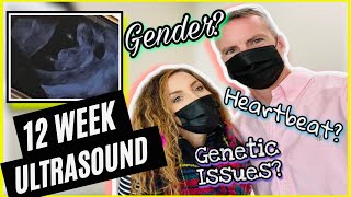 12 Weeks Pregnant Check Up (Ultrasound and Gender??) | WHAT ARE OBGYN APPOINTMENTS LIKE DURING COVID