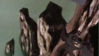 Disney Crossover Raining Sunshine Preview