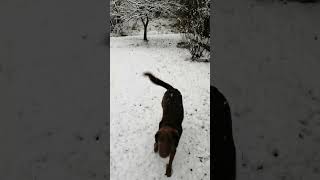 Walk With Jessie. It's Snowing. Ура! Снежок!