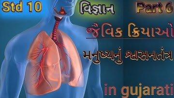 Std 10 science chapter 6||life process||જૈવિક ક્રિયાઓ||મનુષ્યનું શ્વસનતંત્ર|NCERT|ભાગ ૬| in gujrati