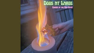 Vogue Beauty (Live) (Live) - Dogs at Large