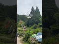 Wait… is this a real Totoro spot? 🌿