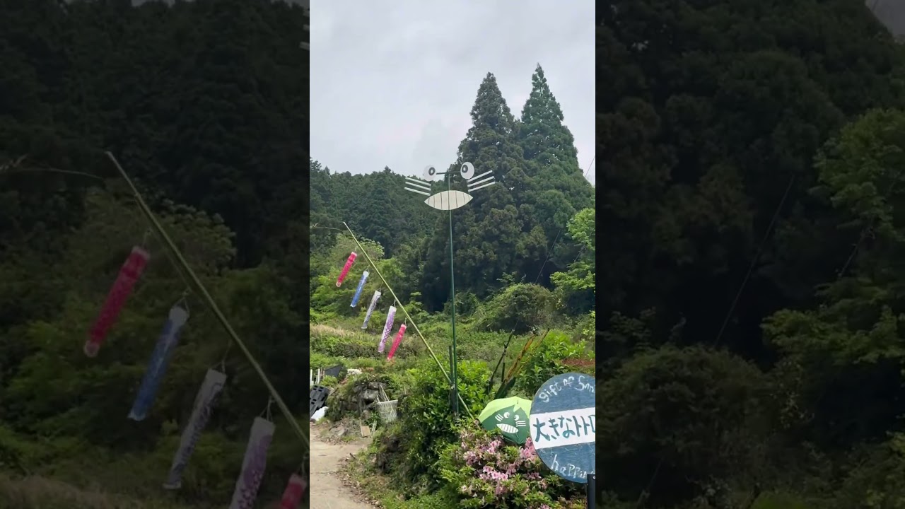 Wait… is this a real Totoro spot? 🌿