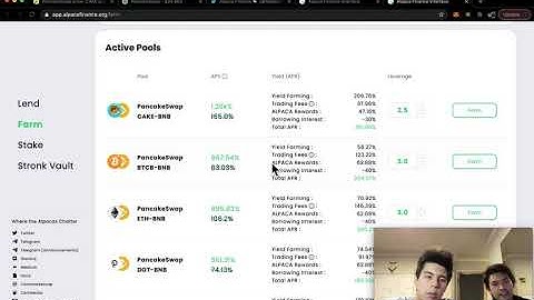 Alpaca: Leveraged Yield Farming??
