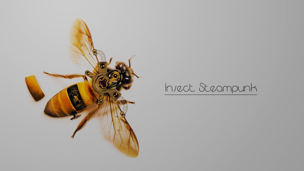 Insect Steampunk - Photoshop CS6 - YouTube