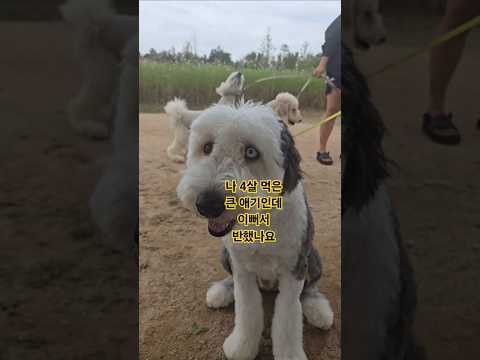 어쩌다 마주친 그대 송골매 이쁜숙