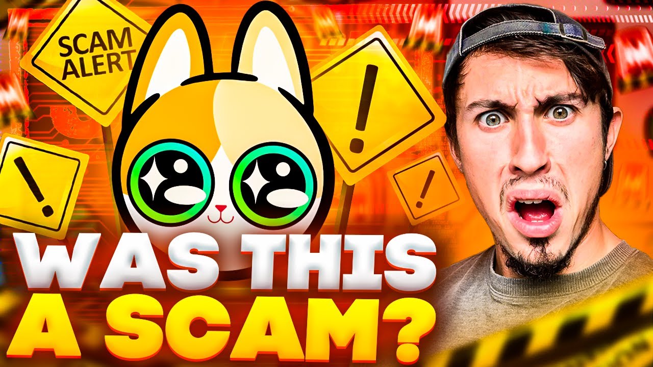 Big Eyes Crypto MESS - Was This a SCAM?