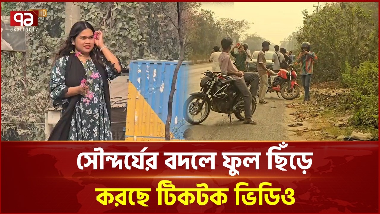 গাজীপুরের ভাইরাল ফুল গাছ, সৌন্দর্য উপভোগের বদলে ফুল ছিঁড়ে করছে  টিকটক ভিডিও | Gazipur | Ekattor TV