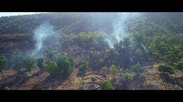 Protect The Protectors # Forest Conservation using drones