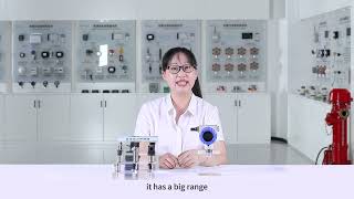 FST100 1101 Wireless Pressure Sensor