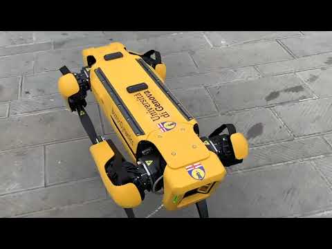 Il cane-robot dell'Università di Genova a spasso per le vie della città
