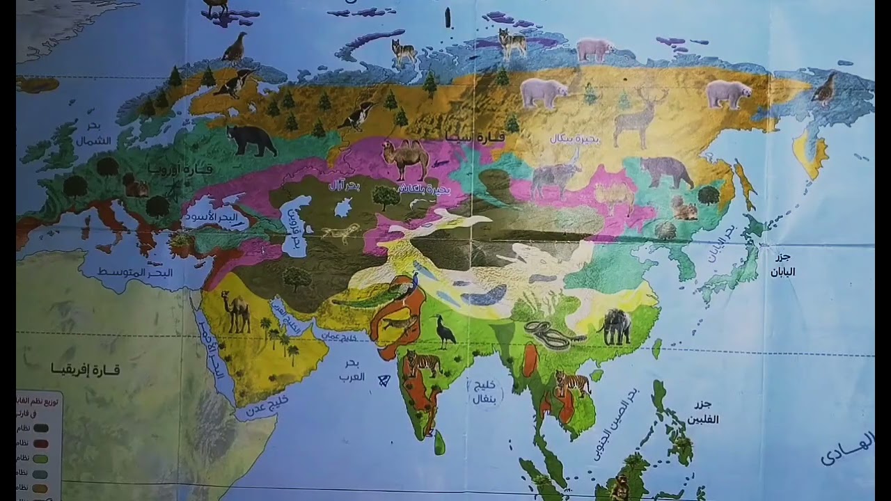 خريطة تانية إعدادي – خريطة نظام الغابات والحشائش والصحاري بسهولة | مع مستر إبراهيم أبو مبارك