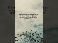 চিরন্তন সত্য..!✨#unfrezzmyaccount #musicgenre #sadcoversong #ytshorts #reality