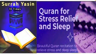 Relaxing Quran Recitations for Sleep | Peaceful Recitation Audio | Muslim VoiceQN