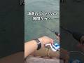 【穴釣り】え？ウソだろ…海底のブロックの隙間から… #shorts