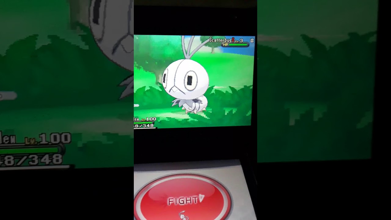 Shiny scatter bug using the pokeradar chain of 12