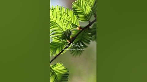 (وَذَكِّرْ فَإِنَّ الذِّكْرَىٰ تَنفَعُ ...........)(سورة الذاريات الآية 55)القارى: ( سعود الشريم ) .