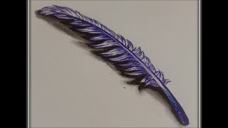 How to draw a 3D feather//Beautiful 3D Feather Drawing #shorts #youtubeshorts