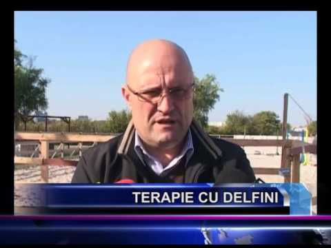 Video: Cum Să Comunicați Cu Un Delfin