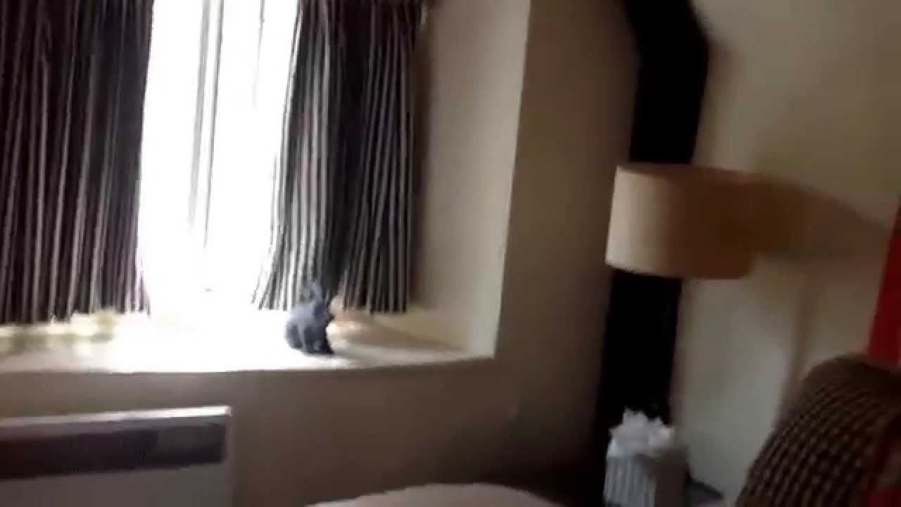 Baytree hotel burford