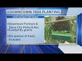 Downtown Tree Planting
