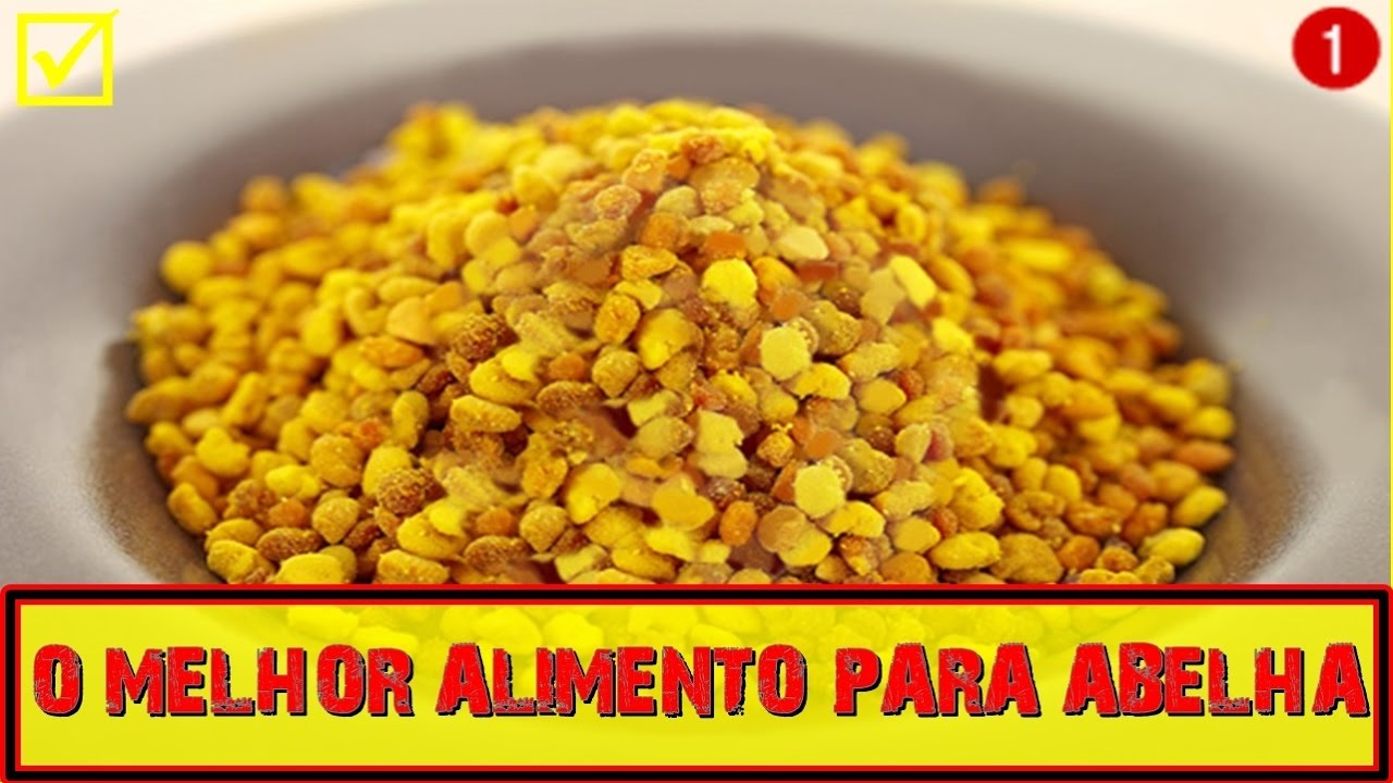 o-melhor-alimento-para-abelhas-nativas-gororoba-youtube