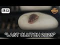 February Reptile | EP.13 Last Clutch 2025 #FebruaryReptile #FR