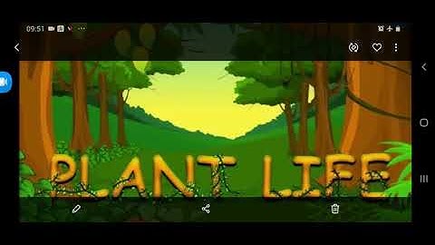 EVS- ch-7 Plants around us