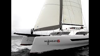 New Cruising Dazcat Joins the Clan (D1295 XL)