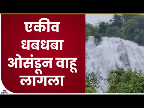 Satara Ekiv Waterfall | साताऱ्यातील एकीव धबधबा ओसंडून वाहू लागला- tv9