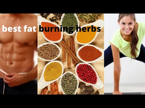 What are the best fat burning herbs?