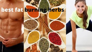 What are the best fat burning herbs?