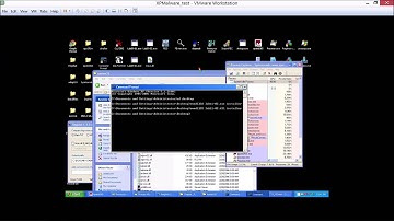 Practical Malware Analysis Chapter 11 Lab Attempt