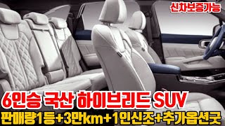 제일 많이 팔리는 6인승 국산 하이브리드 SUV!! 신차보증가능