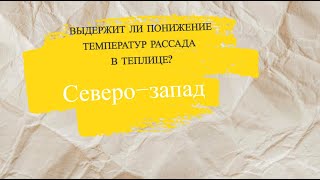 Выдержит ли понижение температур рассада в теплице? Две ночи -2 и -4!!!