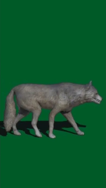 animal green screen video #shorts