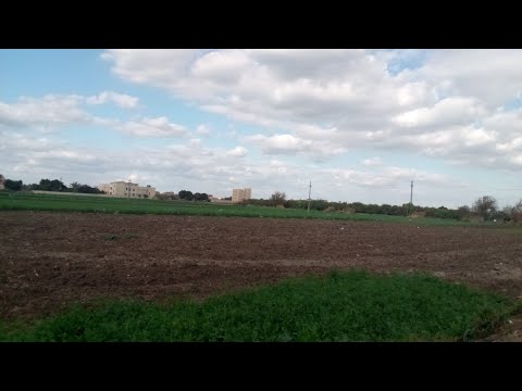مدينة السادات كفر داود عزبة ناصف التجارة محافظة المنوفية