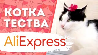 Котето Прасчо тества продукти от AliExpress