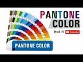 Pantone Color full Detail and how to use pantone color in design || Shashi Rahi