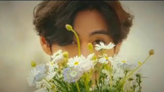 Me, Myself, and V 'Veautiful Days' Concept Film.